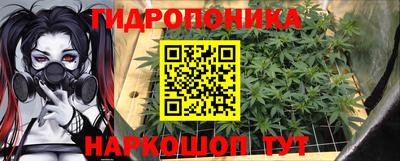 твердый Брянск