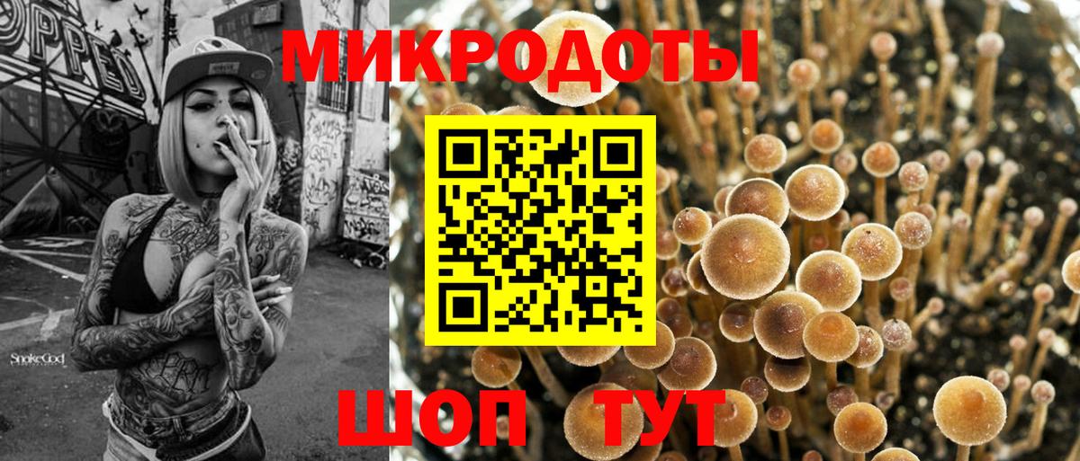 Галлюциногенные грибы Psilocybe Архангельск
