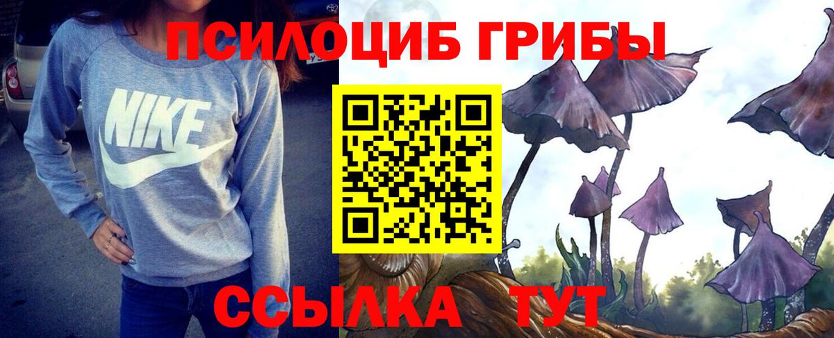 Псилоцибиновые грибы Psilocybine cubensis  Псилоцибиновые грибы MAGIC MUSHROOMS  Архангельск  Вход с VPN 